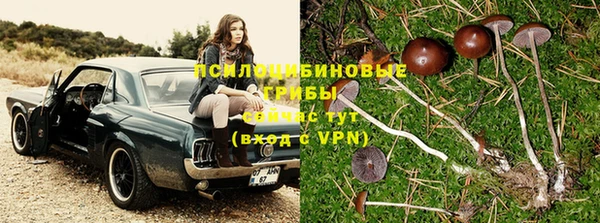 марихуана Сосновоборск