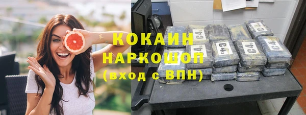 эйфоретик Сосновка