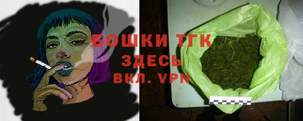 эйфоретик Сосновка