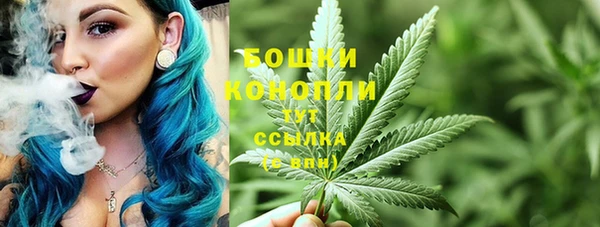 эйфоретик Сосновка