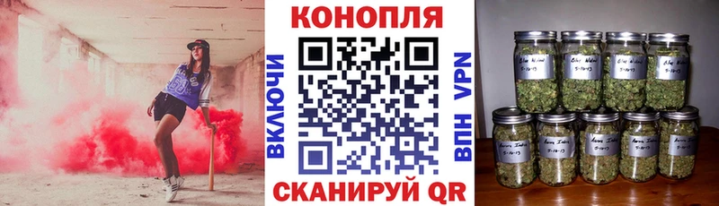 MEGA сайт Разумное Бошки марихуана гибрид